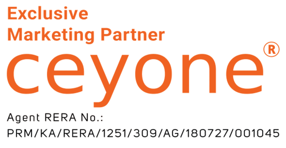 Ceyone Logo